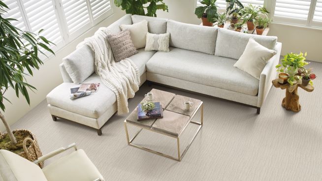 neutral carpet in a cozy living room